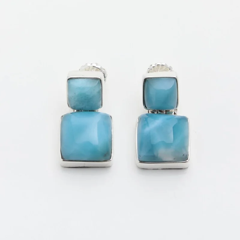 silver dangling earrings for women -Larimar Earrings Sonia